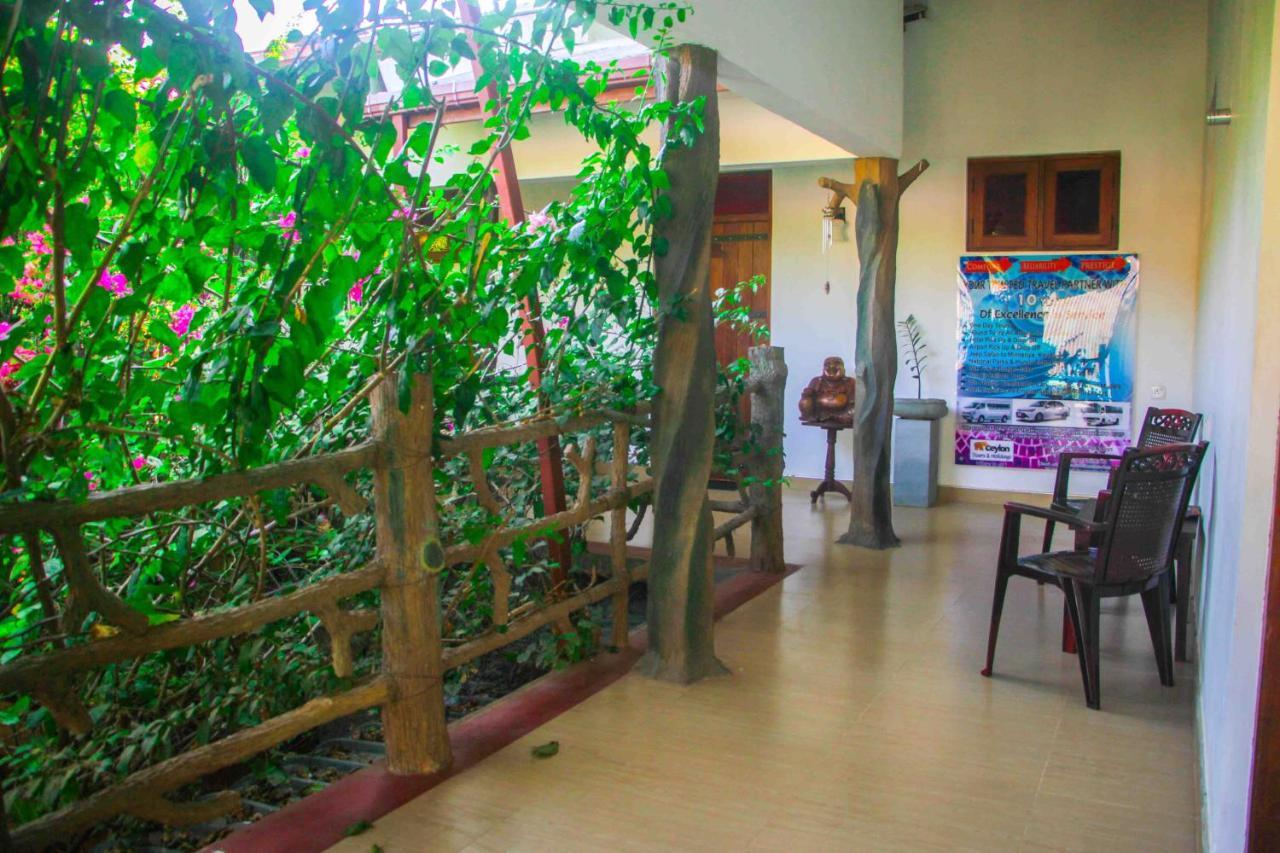 Hotel Hungry Lion Sigiriya Exterior foto
